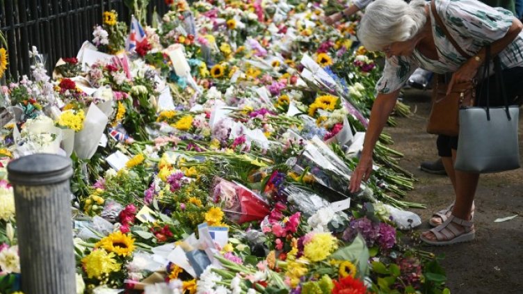 Снимка: архив, БГНЕС