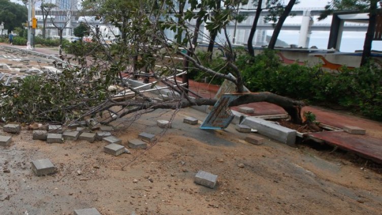 Снимка: архив, БГНЕС