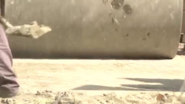 Снимка: Bulgaria ON AIR