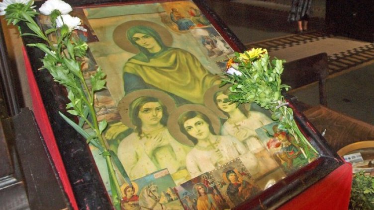 Снимка: архив, БГНЕС