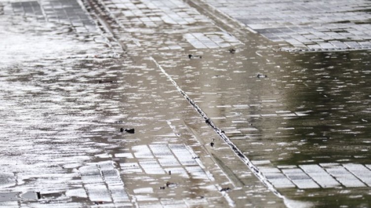 Снимка: архив, БГНЕС