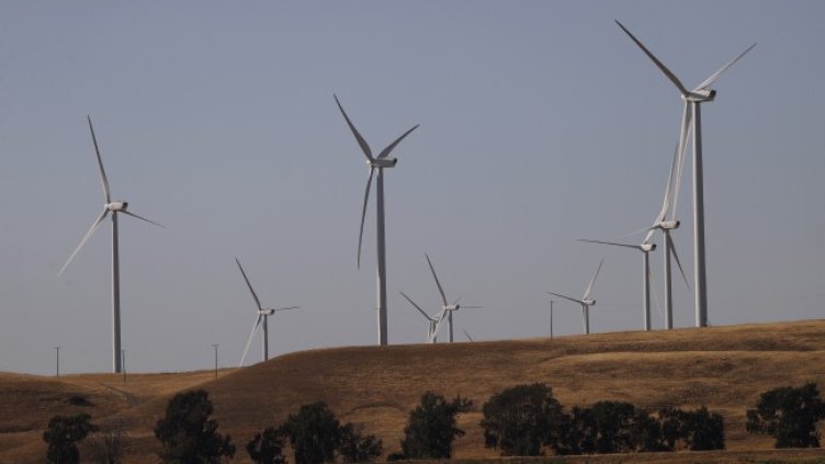 Снимка: архив, БГНЕС