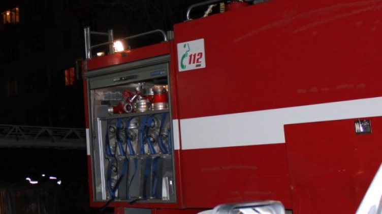 Снимка: архив, БГНЕС