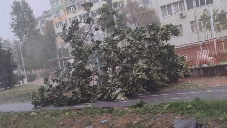 Снимка: Facebook