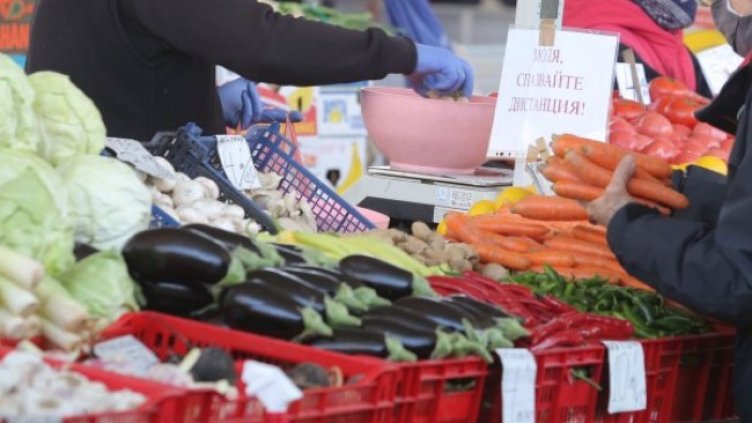 Снимка: Димитър Кьосемарлиев, Dnes.bg