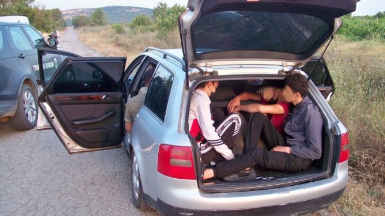 Снимка: БГНЕС