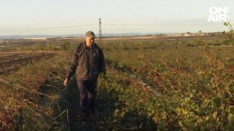 Снимка: Bulgaria ON AIR