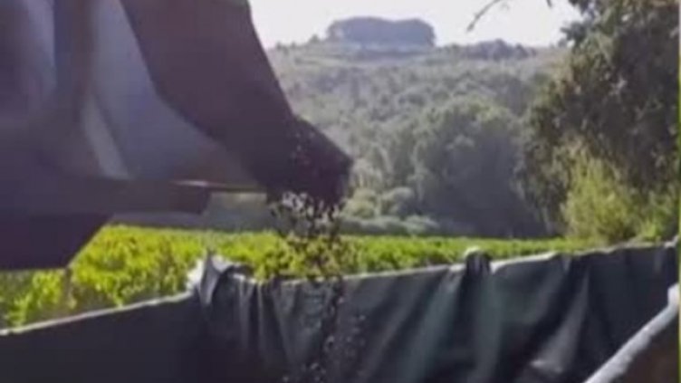 Снимка: Bulgaria ON AIR