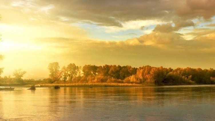 Снимка: Pixabay