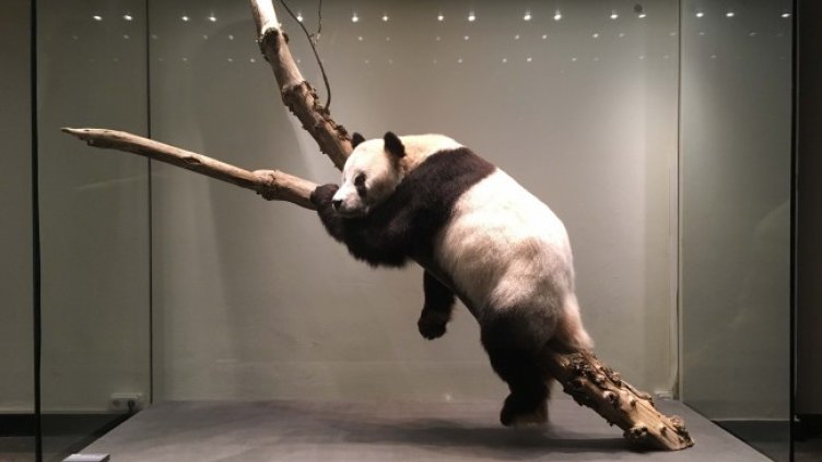 Снимка: Топлоцентрала