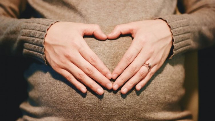 Снимка: Pixabay/StockSnap