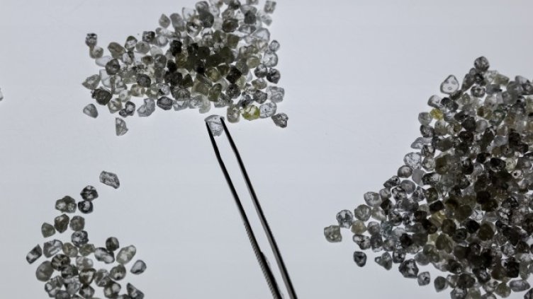 Снимка: архив, БГНЕС