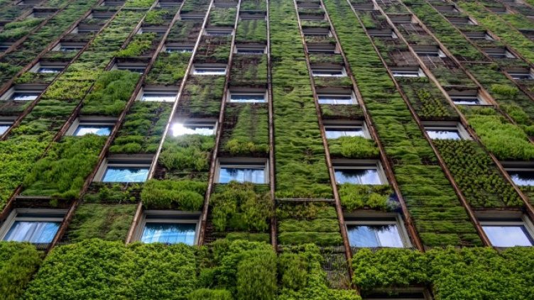 Снимка: Shutterstock