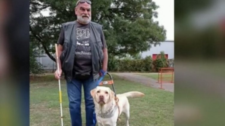 Снимка: Кадър, Нова тв