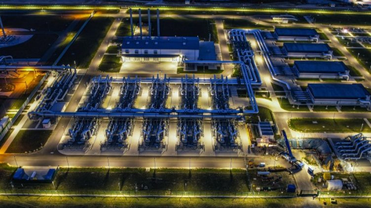 Снимка: БГНЕС