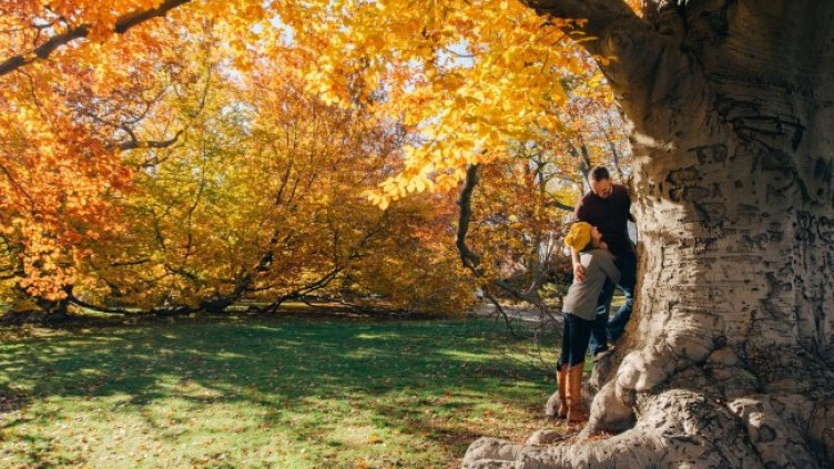 Снимка: Pixabay/StockSnap