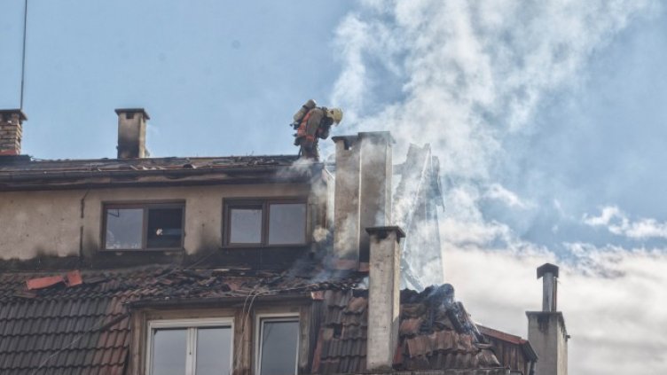 Снимка: Димитър Кьосемарлиев, Dnes.bg