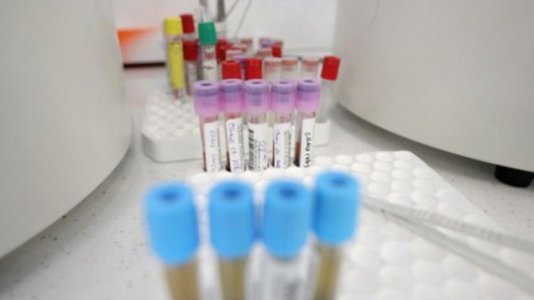 Снимка: Димитър Кьосемарлиев