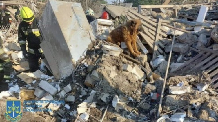 Снимка: Twitter