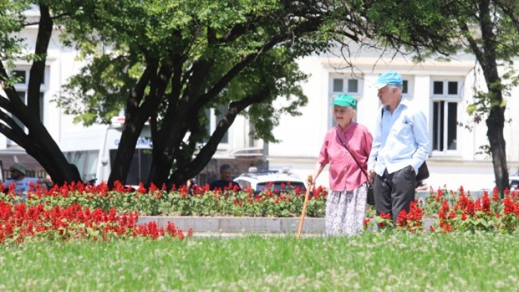 Снимка: БГНЕС