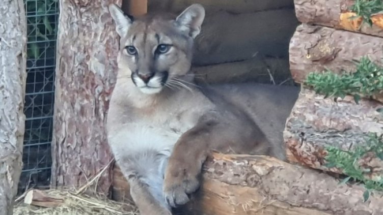 Снимка: Бургаски зоопарк