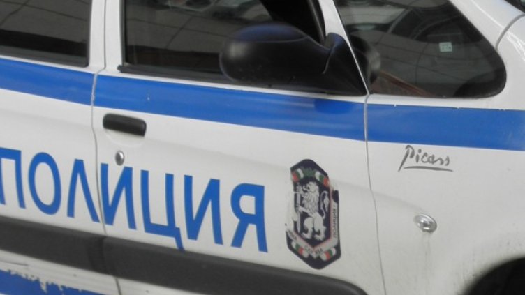 Снимка: архив, БГНЕС