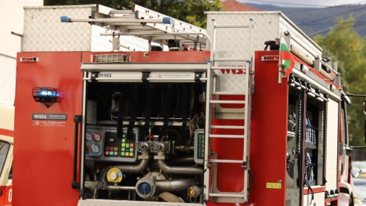 Снимка: БГНЕС