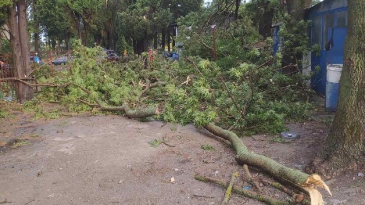 Снимка: БГНЕС