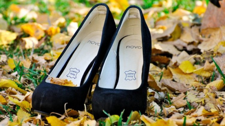 Снимка: Pixabay/gillnisha