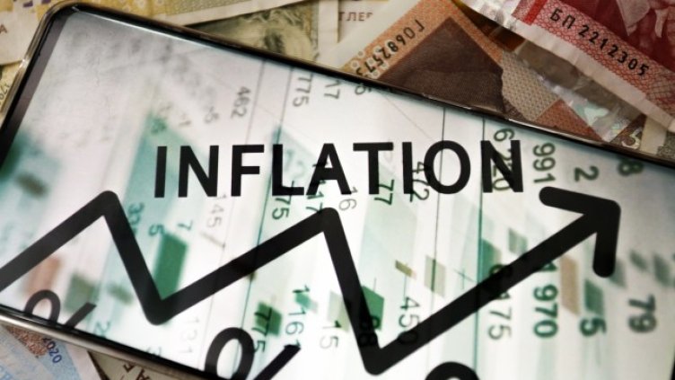 Снимка: архив, БГНЕС