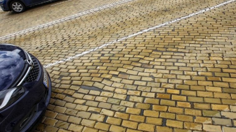 Снимка: Димитър Кьосемарлиев