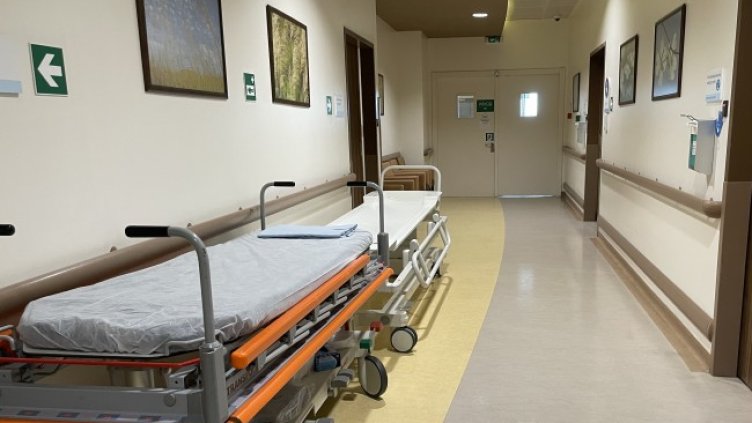 Снимка: БГНЕС