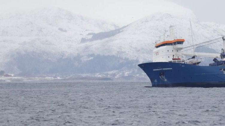 Снимка: архив, БГНЕС