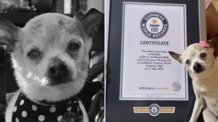 Снимка: www.guinnessworldrecords.com