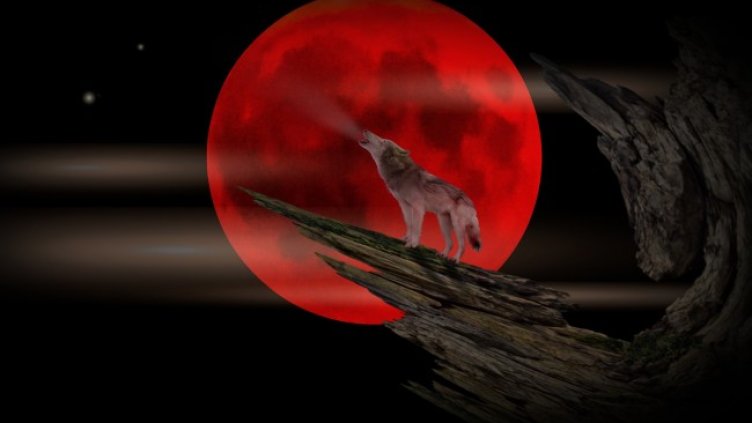 Снимка: Pixabay/Placidplace