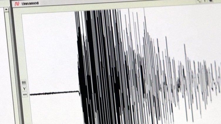 Снимка: архив, БГНЕС