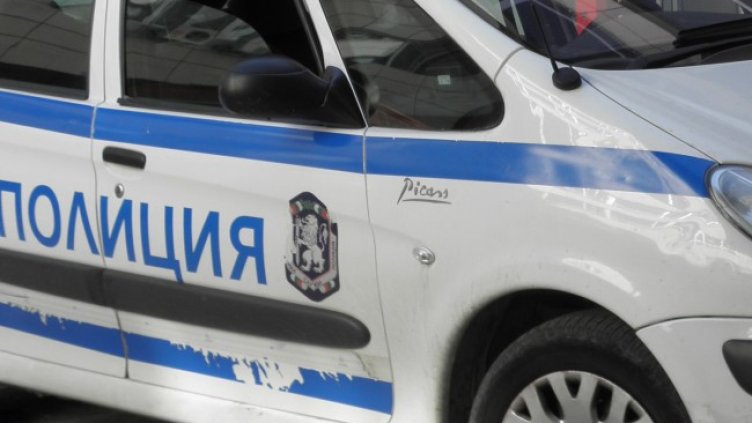 Снимка: архив, БГНЕС