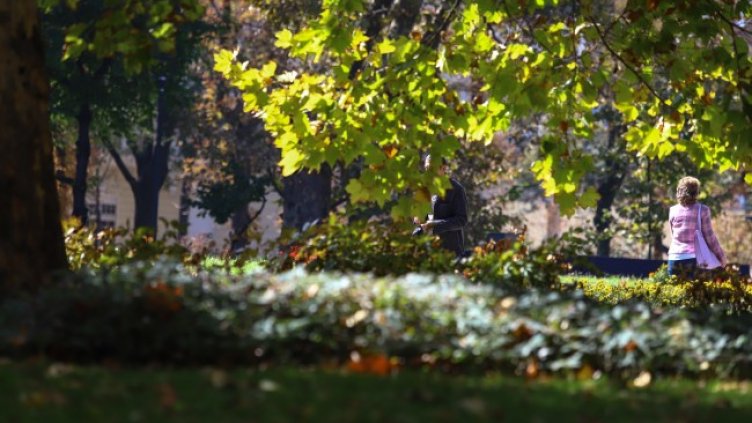 Снимка: БГНЕС