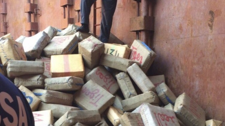 Снимка: БГНЕС, архив