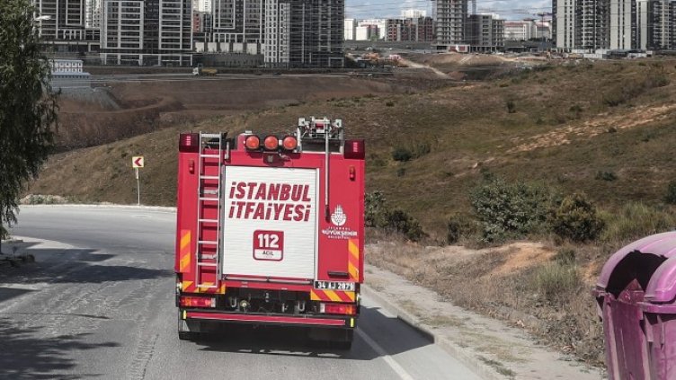 Снимка: архив, БГНЕС