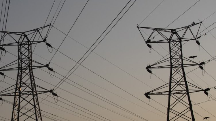 Снимка: архив, БГНЕС