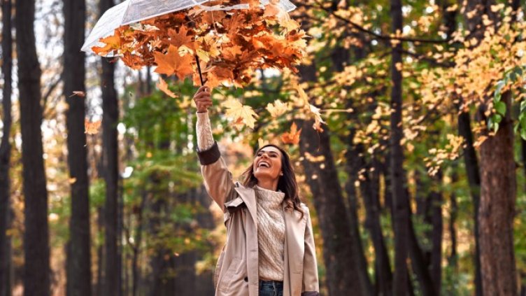 IStockphoto