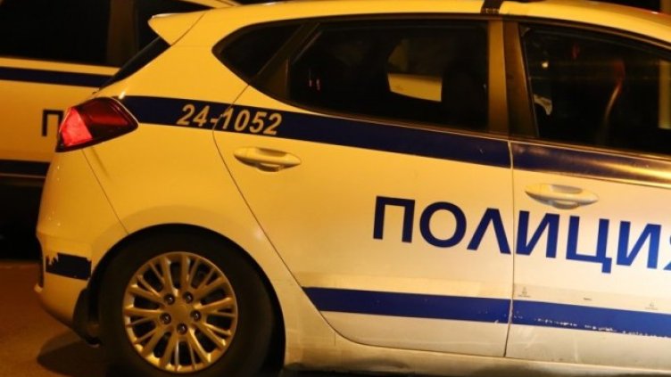 Снимка: архив, БГНЕС