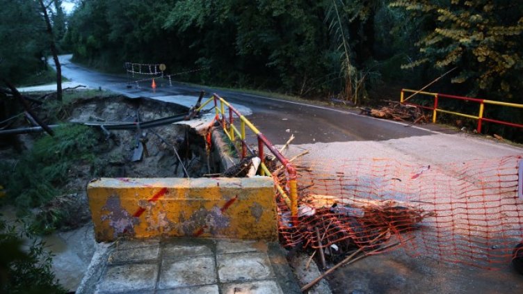 Снимка: архив, БГНЕС