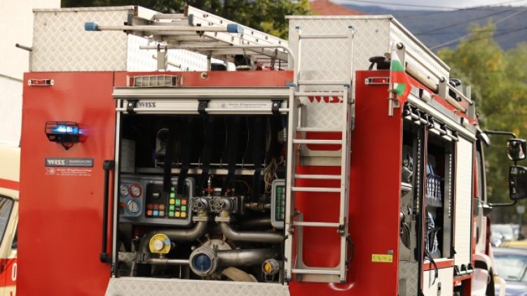 Снимка: БГНЕС