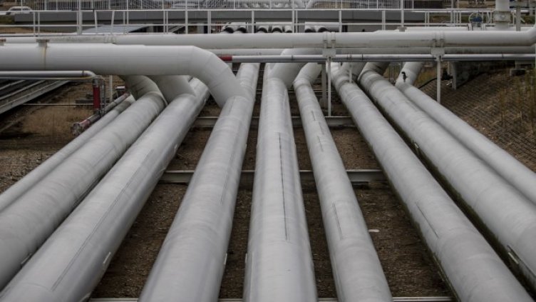 Снимка: архив, БГНЕС