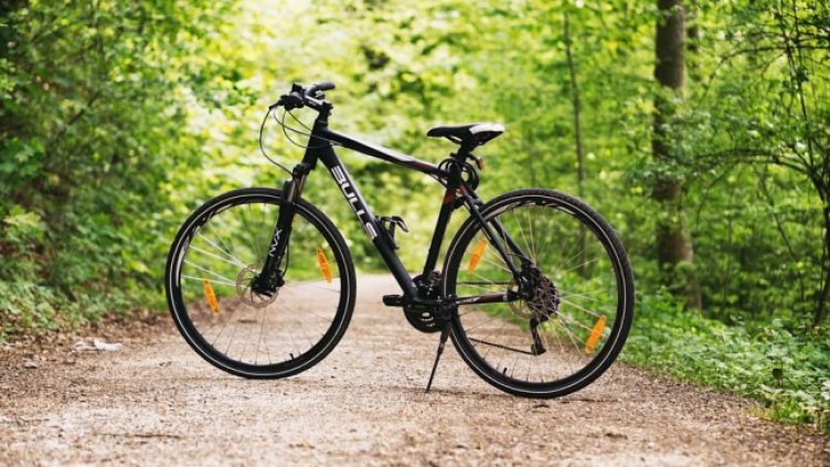 Снимка: Pixabay