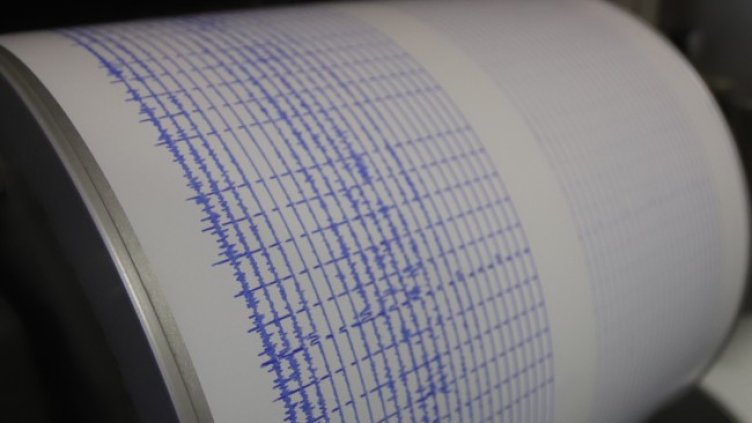 Снимка: архив, БГНЕС