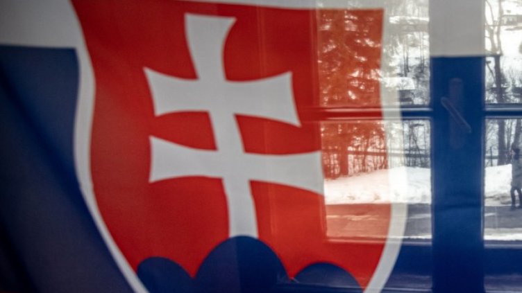 Снимка: архив, БГНЕС