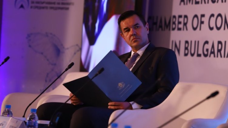 Снимка: БГНЕС